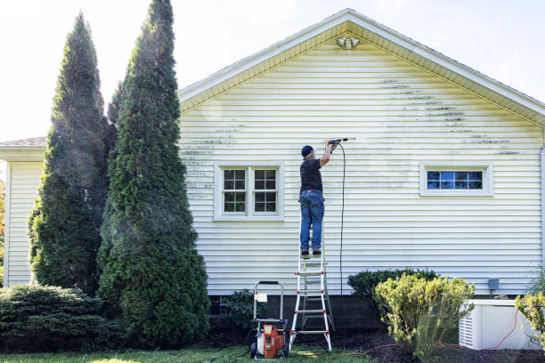 Best Affordable Pressure Washing  in Vandalia, IL